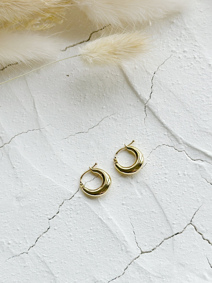 Amora Gold Hoop Earrings